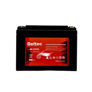 Deltec 12V24 AGM Backup Battery