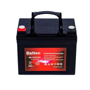 Deltec 12V33 AGM Backup Battery