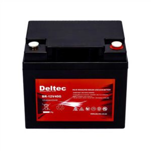 Deltec 12V40G AGM Backup Battery