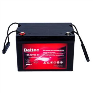 Deltec 12V60-EV AGM Backup Battery
