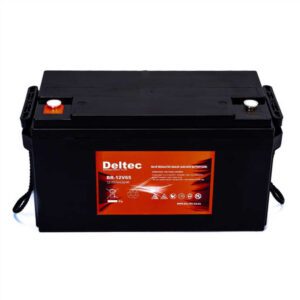 Deltec 12V65 AGM Backup Battery