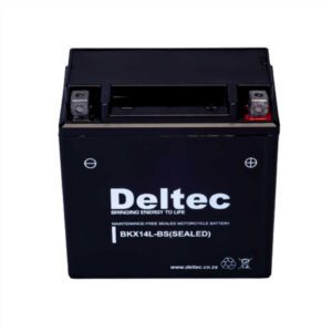 Deltec FBX14L-BS Motorcycle Battery