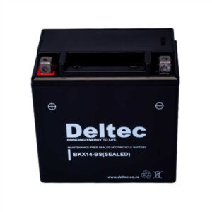 Deltec FBX14-BS Motorcycle Battery